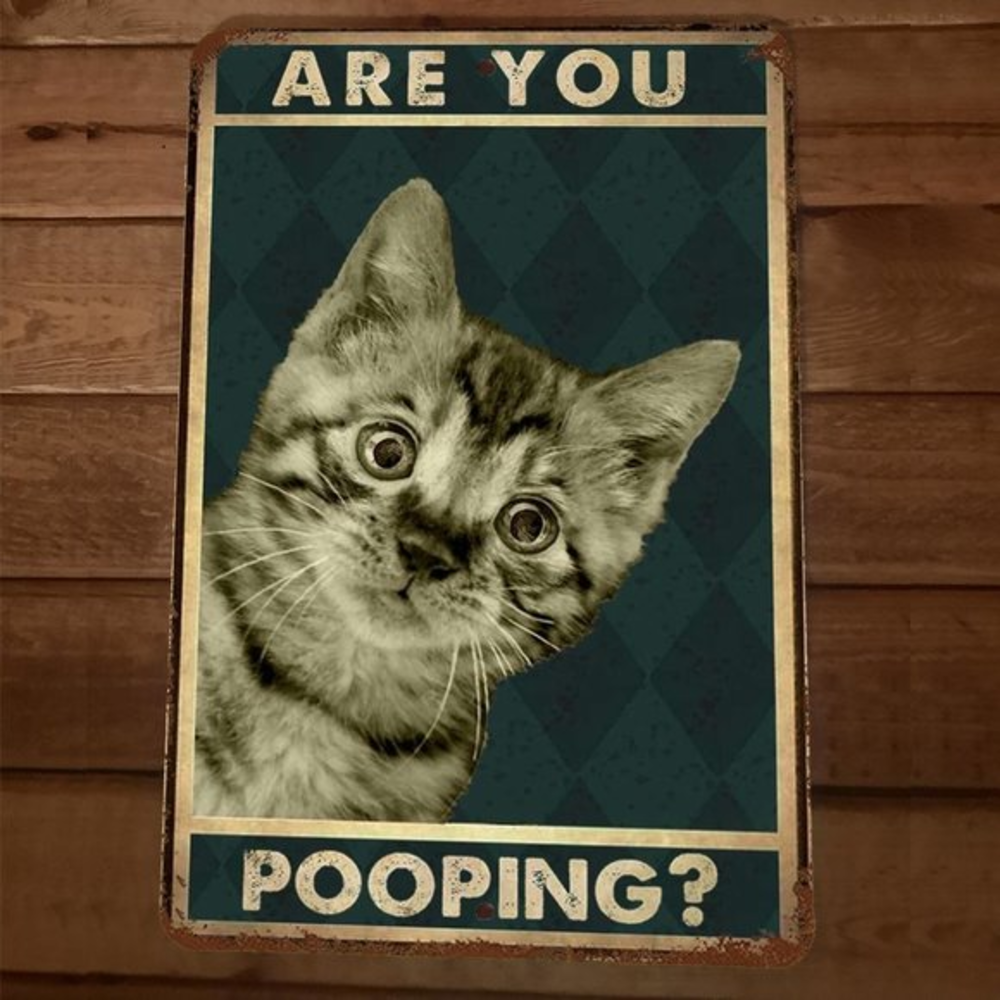 Are You Pooping‎ Cat 8x12 Metal Wall Sign Animal Bathroom Poster #3